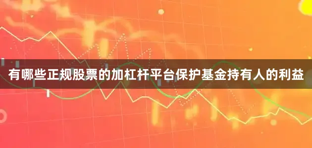 有哪些正规股票的加杠杆平台保护基金持有人的利益