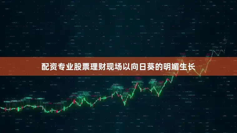 配资专业股票理财现场以向日葵的明媚生长